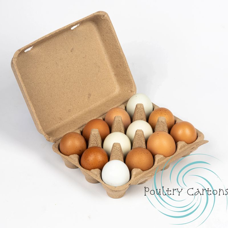 Purple Square Paper Pulp Chicken Egg Cartons (12 eggs)