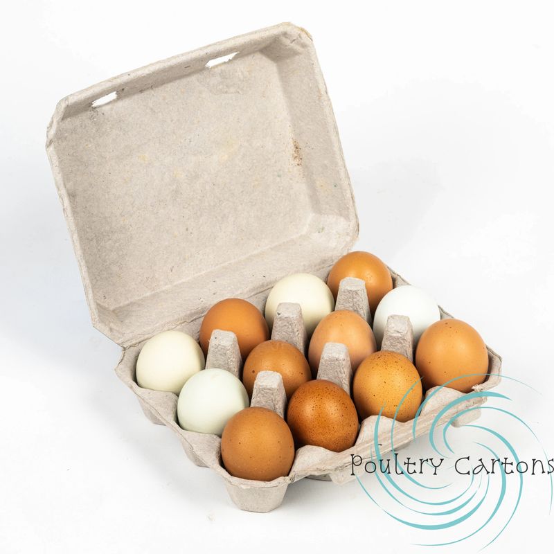 Details about   Vintage 1933 Cardboard Egg Carton 1 Dozen Chickens Chicks 