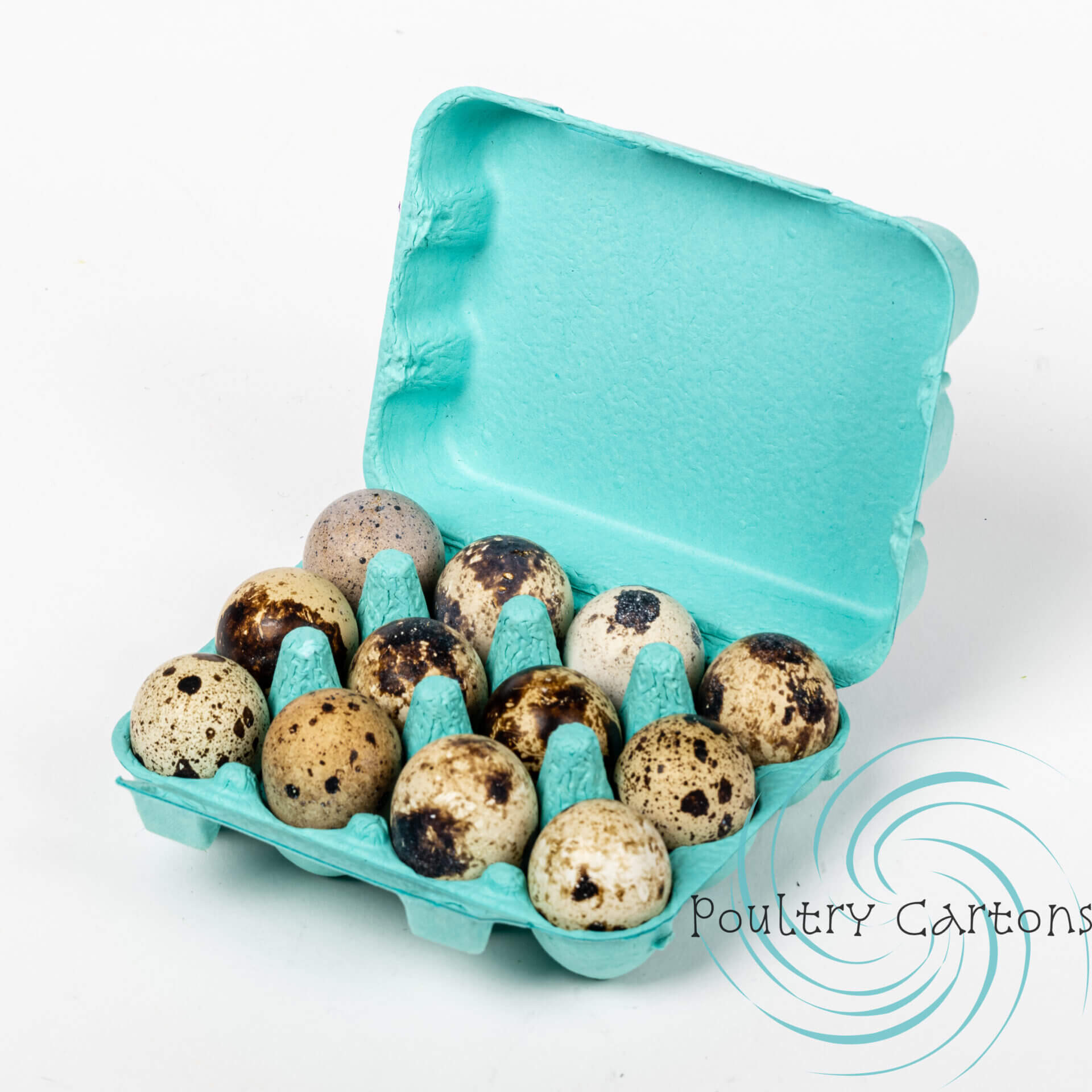 Vented Paper Pulp Egg Cartons - Teal (12 Vented Paper Pulp Egg Cartons - Teal (12