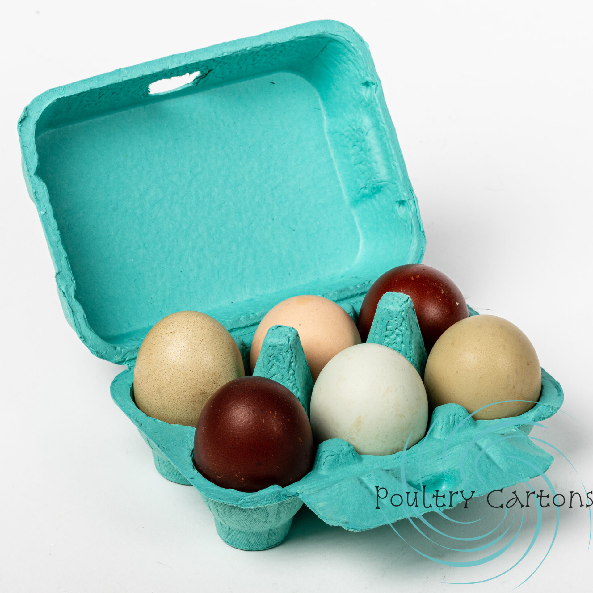 Turquoise Blue Paper Pulp Chicken Egg Cartons (6 eggs)