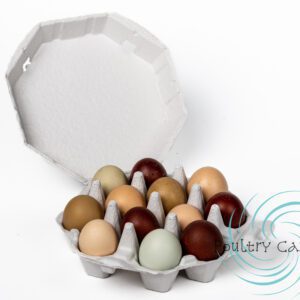 Octagon egg carton