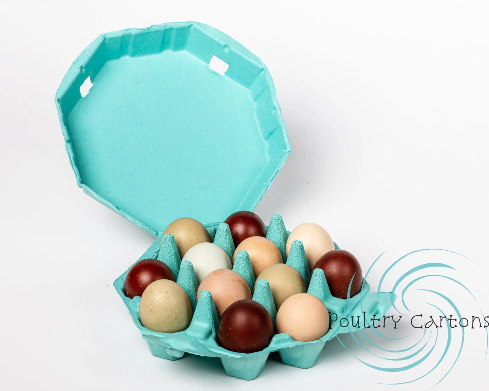 Turquoise Blue Paper Pulp Chicken Egg Cartons (6 eggs)