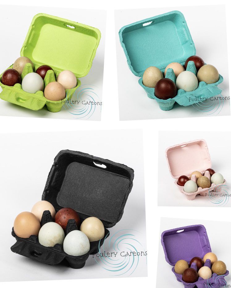 10Pcs Colored Egg Cartons, Natural Pulp Paper Egg Cartons 6 Count
