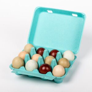 Open turquoise vintage-style 12-egg chicken carton filled with eggs.