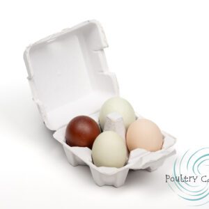 Poultry Cartons