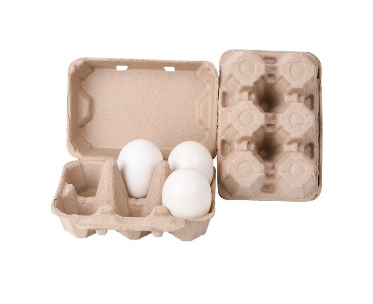 Gray Duck and/or Turkey Egg Cartons (6 eggs)