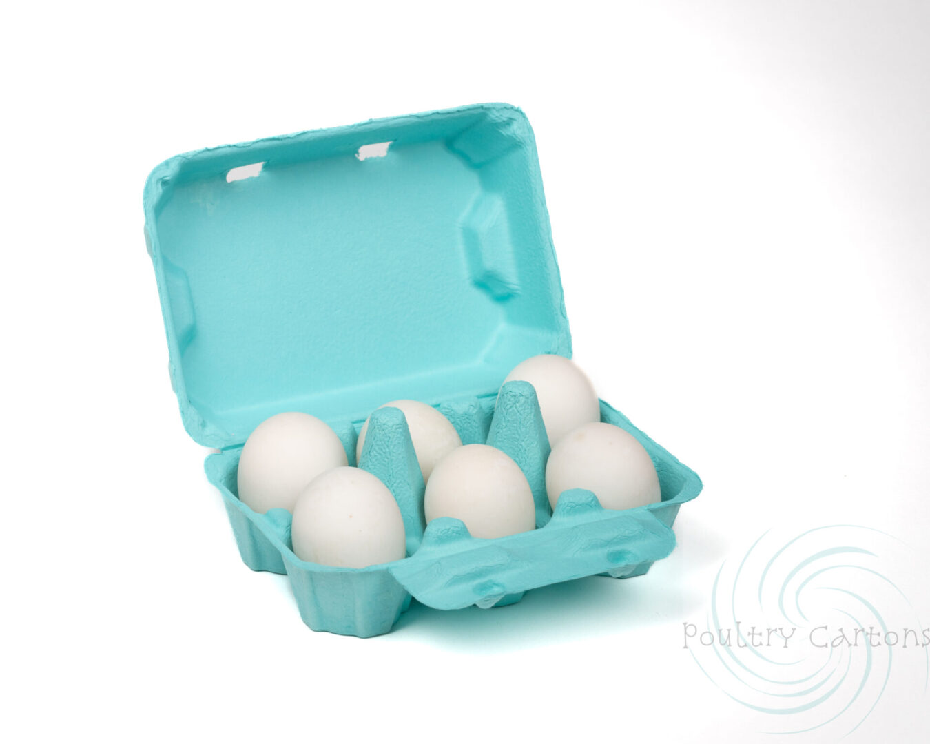 Turquoise Blue Duck Egg Cartons Poultry Cartons