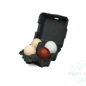A small Black Paper Pulp Chicken Egg Cartons with four eggs of various colors on a white background.
