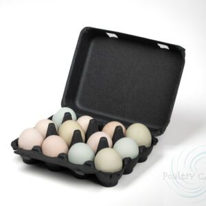 A dozen assorted natural-colored eggs, including Black Bantam, in a Black Bantam Square Paper Pulp Chicken Egg Cartons (12 eggs) against a white background.