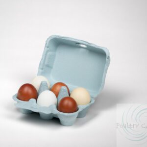 A variety of chicken eggs in different colors inside a Blue Mist Paper Pulp Chicken Egg Cartons (6 eggs) against a white background.