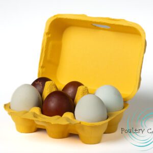 An open Sunny Side Up Yellow Paper Pulp Chicken Egg Carton with a variety of colored eggs on a white background.