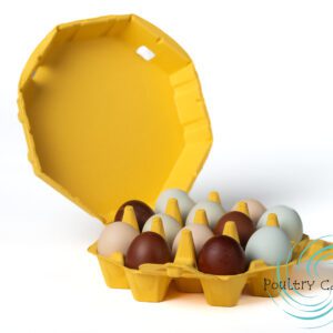 A variety of Sunny Side Up Yellow Octagon Paper Pulp Chicken Egg Cartons (12 eggs) against a white background.