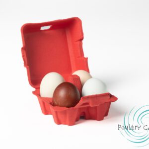 A Poppy Red Paper Pulp Chicken Egg Cartons with four white eggs against a white background.
