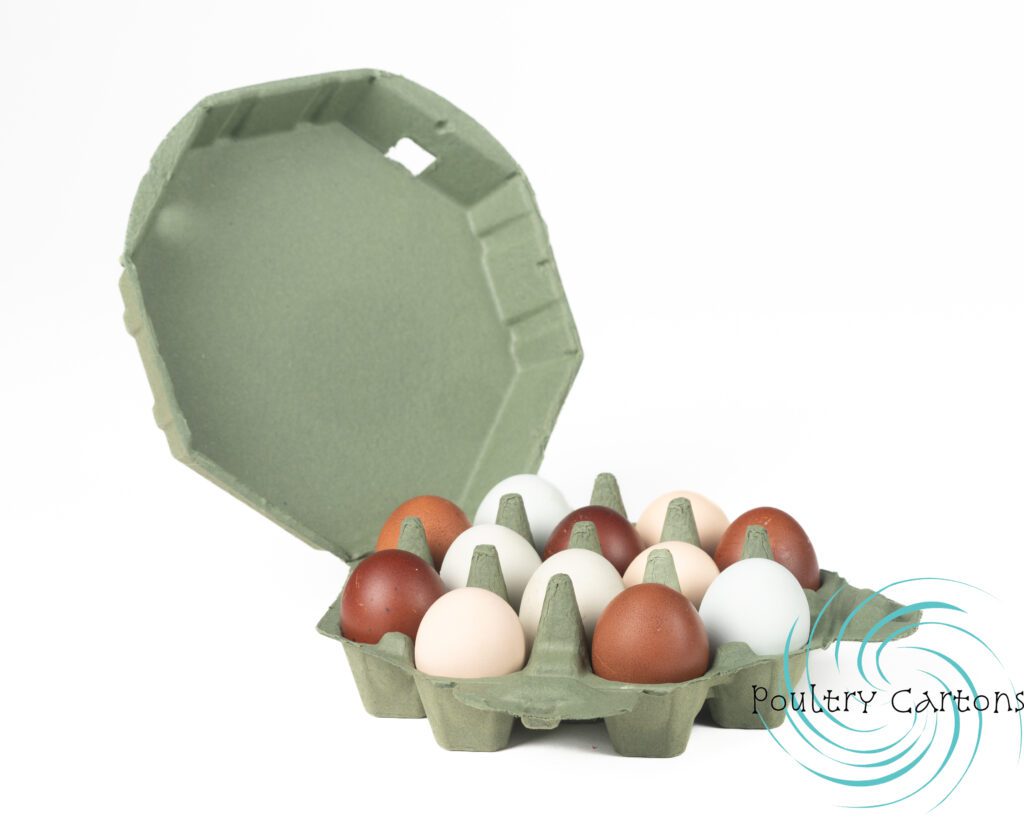An open carton of assorted brown and white chicken eggs in a Kelsey Green Octagon Paper Pulp Chicken Egg Cartons (12 eggs) on a white background.