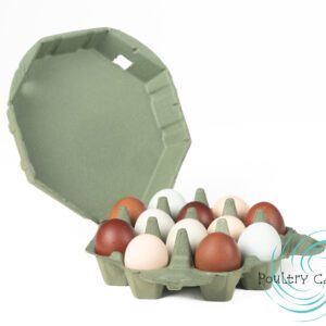 An open carton of assorted brown and white chicken eggs in a Kelsey Green Octagon Paper Pulp Chicken Egg Cartons (12 eggs) on a white background.