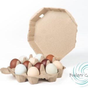 A carton of Brown Octagon Paper Pulp Chicken Egg Cartons (12 eggs) with one half of the lid open on a white background, featuring brown octagon egg compartments.