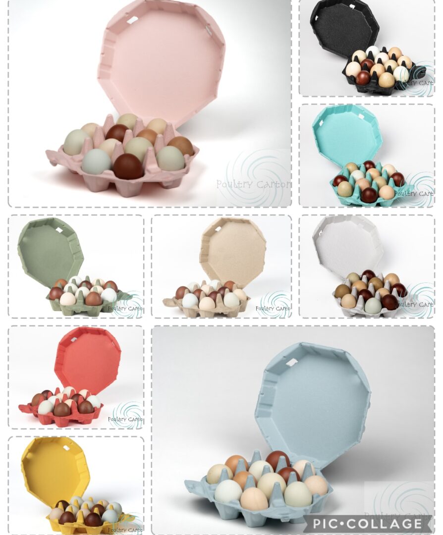 Collage of colorful egg cartons with eggs.