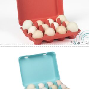 Two egg cartons with fresh eggs.