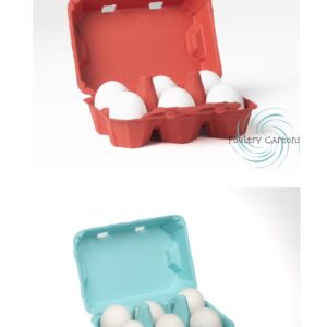 Red and blue egg cartons with eggs.