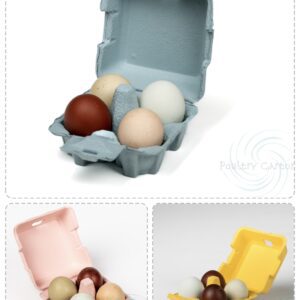 Colorful eggs in various carton boxes.
