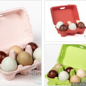 Colorful eggs in various carton boxes.