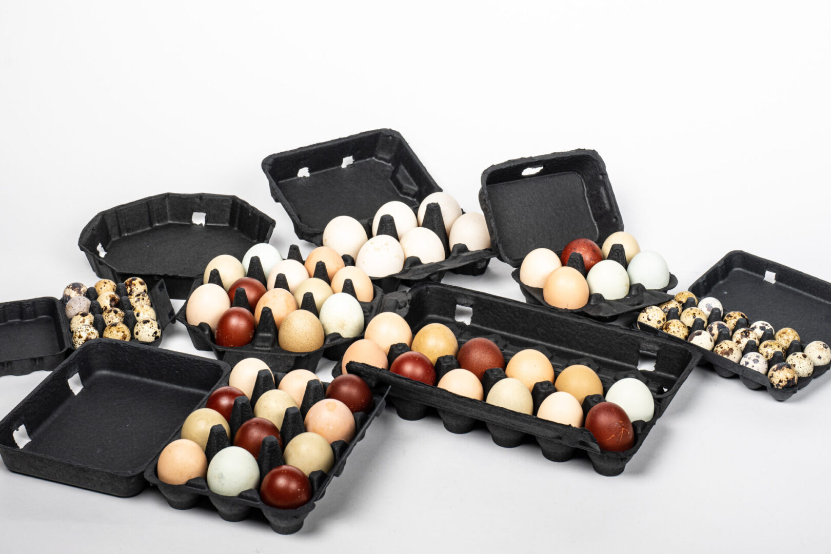 Assorted black egg cartons holding eggs