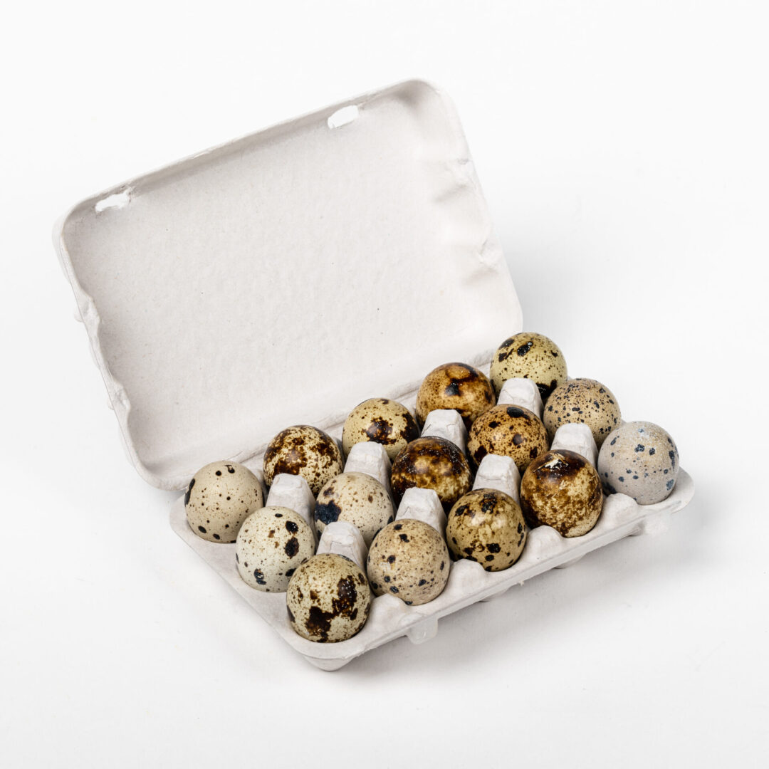 Gray 15-egg quail egg carton holding quail eggs