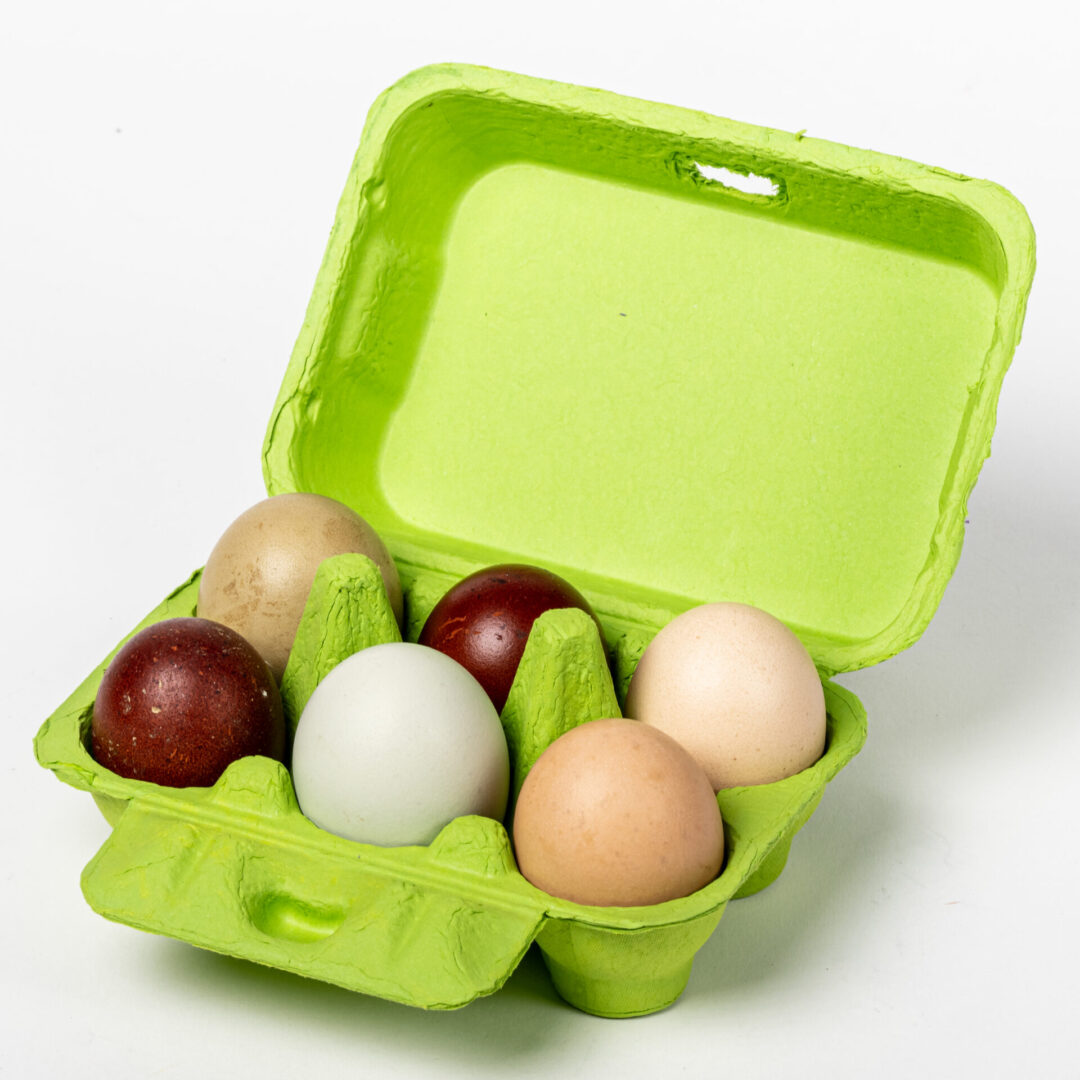 Lime green 6-egg chicken egg carton holding eggs