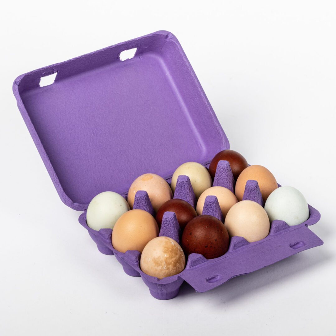 Purple square chicken egg carton holding eggs