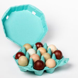 Turquoise octagon 12-egg chicken egg carton holding eggs
